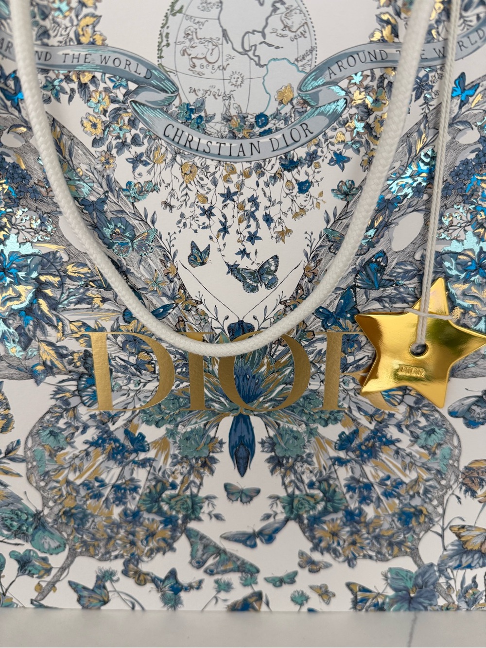 Dior RARE Butterfly Shopping Gift Bag 🦋🩵💙